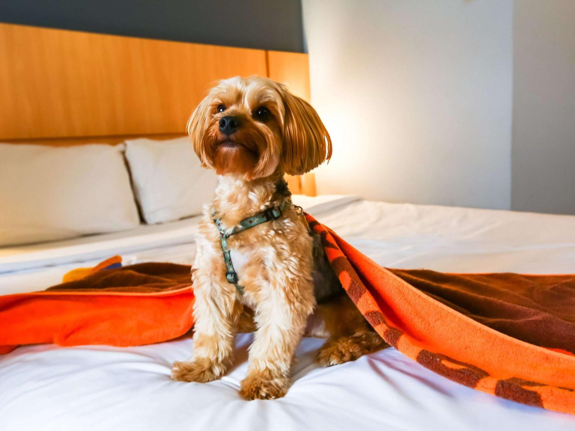 Ibis Rio De Janeiro Nova America Экстерьер фото